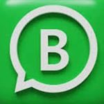 WhatsApp Business APK