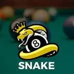 Snake 8 Ball Pool