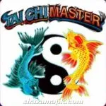 Tai Chi Master 777