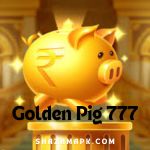 Golden Pig 777 Casino