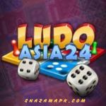 Ludo Asia Game